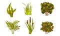 Different Lush Bushes and Grass with Reed Plant Vector Set Royalty Free Stock Photo