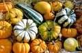 Different marrows and squashes, pumpkins, for sale