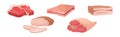 Different Meat Product with Beef, Lard and Chicken Cuts Vector Set