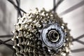 Different metal gear teeth on a rear hub bicycle wheel