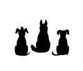 Different mixed breed dogs backside view silhouettes Royalty Free Stock Photo