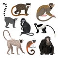 Different monkey set