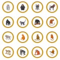 Different monkeys icons circle