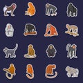 Different monkeys icons set vector sticker