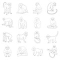 Different monkeys icon set outline