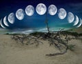 Desert moons