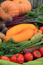 Different multi-colored vegetables and fruits close up