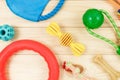 Different multicolored pet care accessories: ring, bones, balls on natural wooden background. Rubber and textile accessories Royalty Free Stock Photo