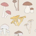 Different mushrooms seamless pattern. Hand drawn fungi. Armillaria, blewits, boletus, chanterelle. Colorful vector