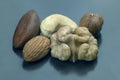 Different nut nuts close-up on a gray background Royalty Free Stock Photo