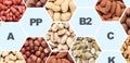 Different Nuts in frames full of vitamins and healthy elements Royalty Free Stock Photo