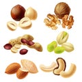 Different nuts realistic set Royalty Free Stock Photo