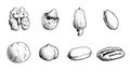 Different nuts set. Sketch style hand drawn seeds. Walnut, pistachio, cashew, almond, peanut, hazelnut, etc. Royalty Free Stock Photo