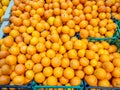 Different oranges on the store counter. Trade in fresh fruits Royalty Free Stock Photo