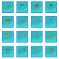 Different palm trees icon blue app