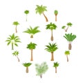 Different palm trees icons set, cartoon style