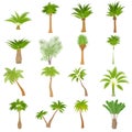 Different palm trees icons set, cartoon style