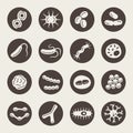 Bacteria types vector icon set
