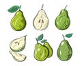 Different Pear set. Flat vector illustration. Cartoon style. Isolated on white background Royalty Free Stock Photo