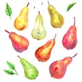 Different pears. Red. yellow, green, cut, green leaves. Hand drawn watercolor illustration. Isolated on white background Royalty Free Stock Photo