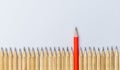 Different pencil standout show leadership concept