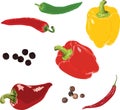 Different peppers on a white background