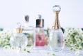 Different perfume bottles and flowers Royalty Free Stock Photo