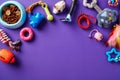 Different pet toys and grooming accessories on purple background. Flat lay, top view. Pet shop banner design