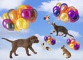 Different pets flying with balloons