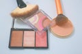 BRUSHES AND MAKE UP Royalty Free Stock Photo