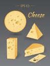 Different pieces of cheese
