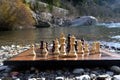 Different pieces on a chess board in front of the river