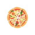 Different pizza slices. Top view