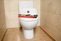 Different plumber`s tools on toilet seat