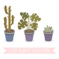 Different potted plants collection. Hand drawn home plants illustrations. Vector set of house indoor plants Royalty Free Stock Photo