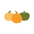 Different pumpkins hand drawn illustration.