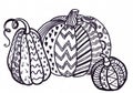 Different pumpkins on white background. Children`s drawing, graphics