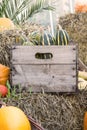 Different pumpkins in wooden box