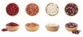 Different raw kidney beans in bowls isolated on white. Collection with top and side views Royalty Free Stock Photo