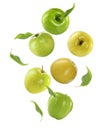 Different ripe apples falling on background