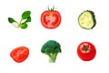 Different ripe fresh vegetables on white isolated background Royalty Free Stock Photo