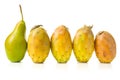 Different ripe pears on white background