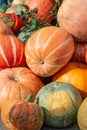 different ripe pumpkins as background