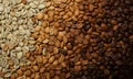 Different roast of arabica coffee beans. Coffee roasting in bean gradient. Texture pattern of roasted coffee for background. Close Royalty Free Stock Photo