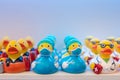 Different rubber ducks on the shelf in the store Royalty Free Stock Photo