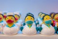 Different rubber ducks on the shelf in the store Royalty Free Stock Photo