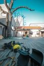 Different safety equipment for arborist or arborists lying on the ground ready to be dressed up. Tree for cutting down in the Royalty Free Stock Photo