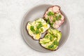 Different sandwiches with radishes, avacado, egg and microgreens on a plate on a light background Royalty Free Stock Photo
