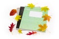 Different school exercise books with several autumn leaves Royalty Free Stock Photo