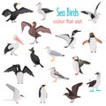 Different sea birds color flat icons set Royalty Free Stock Photo